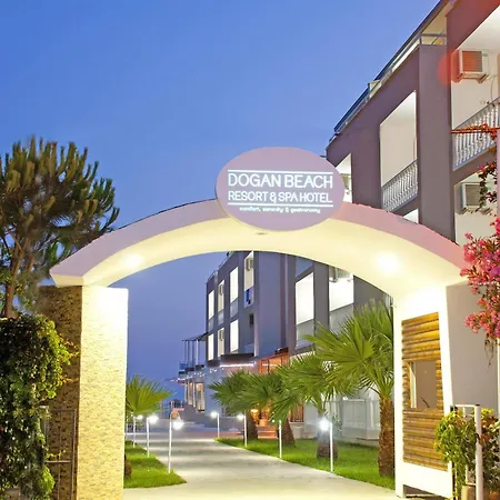 Dogan & Ozdere